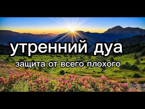 Видео: утренний дуа أذكار الصباح