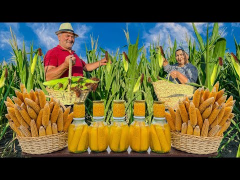 Видео: От поля до банки | Вы не поверите, как мы собираем и консервируем кукурузу!