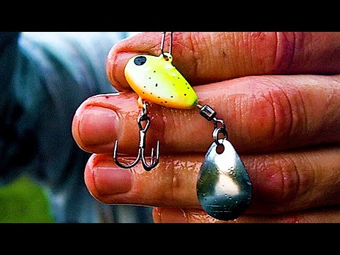 Видео: ЭТА ПРИМАНКА ТВОРИТ ЧУДЕСА!  Раздача рыба на красивой реке! Рыбалка на спиннинг на вечерней зорьке!