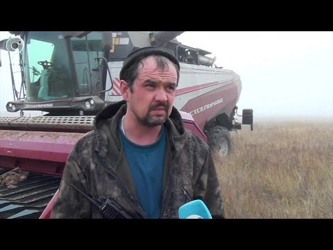Видео: НОВОСТИ в 18:30 – 23 октября 2025