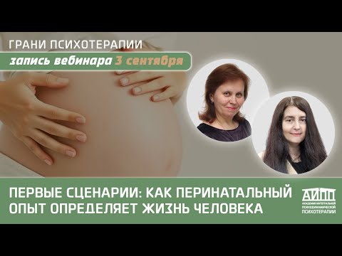 Видео: ПЕРВЫЕ СЦЕНАРИИ: КАК ПЕРИНАТАЛЬНЫЙ ОПЫТ ОПРЕДЕЛЯЕТ ЖИЗНЬ ЧЕЛОВЕКА