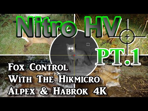 Видео: Управление Nitro HV Fox с помощью Hikmicro Alpex и Habrok 4K