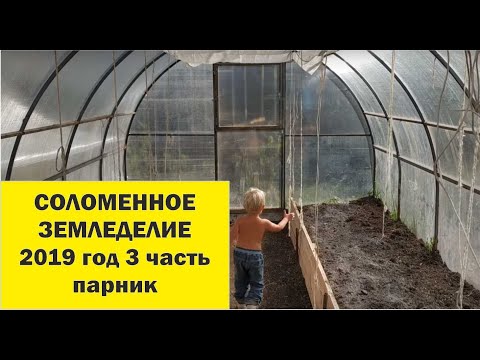 Видео: Соломенное земледелие 2019 - 3 Обустройство парников. //Живая Баня Иван Бояринцев