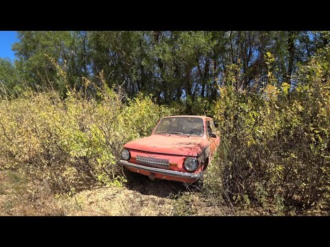 Видео: Нашли старый запорожец в лесу !