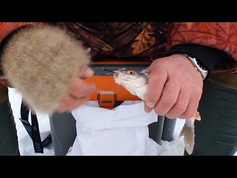 Видео: Гнутые КОЗЫ-СПИЧКИ. Испытания в метель.