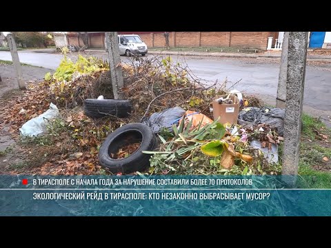 Видео: Экологический рейд в Тирасполе: кто незаконно выбрасывает мусор?