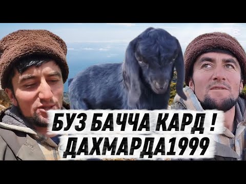 Видео: ДАХМАРДА1999-ро  БУЗОШ ТАВАЛЛУД КАРД! ХАЁТИ ДАХМАРДА БАЧА ДАР КУХУ ПУШТАХОИ ГАРМ  2025 
