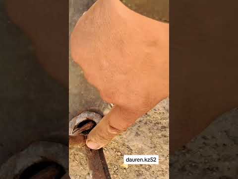 Видео: 28 сентября 2023 г.