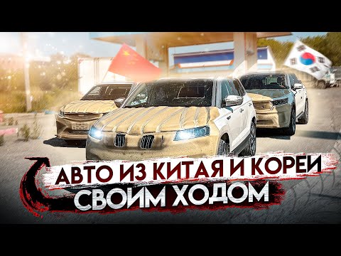 Видео: СРАЗУ 3 АВТО ИЗ КИТАЯ И КОРЕИ / ПРИВЕЗЛИ АВТОМОБИЛИ для клиентов / ВЫДАЧА авто