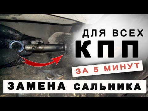 Видео: Замена сальника штока КПП АУДИ а6с4