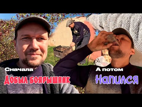 Видео: ОТец добыл боярышника, а потом напился