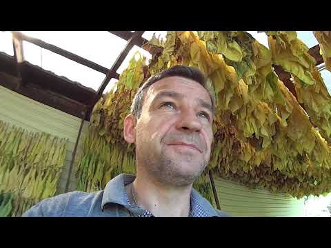 Видео: ответы на вопросы