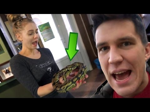 Видео: Сочный Пятигорск | Кавказская красавица | Вопли и крики