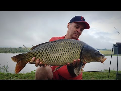 Видео: ОСІННІЙ КАРП ФІШИНГ