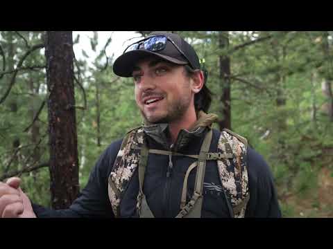 Видео: Я потратил 1000 долларов на снимок грузовика