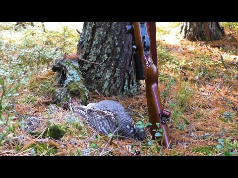 Видео: РЯБЧИК УБЕГАЕТ-Я ДОГОНЯЮ / ПЕРВЫЙ ВЫХОД В ЭТОМ СЕЗОНЕ