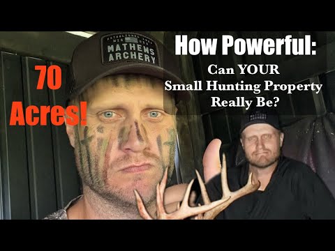 Видео: Насколько эффективным может быть ВАШ небольшой участок для охоты на белохвостого оленя?