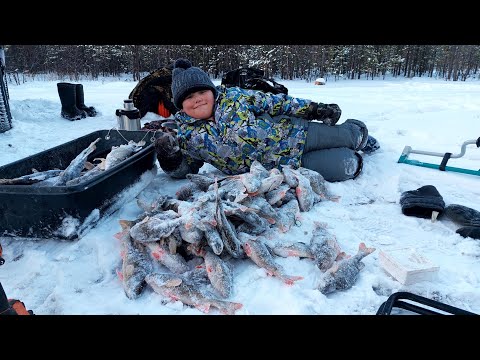 Видео: Продолжаем покорять лед на р.Вынгапур окунь на удочки щука на жерлицы.