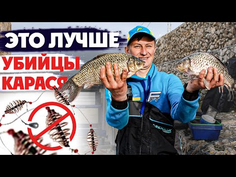 Видео: 🔥 Как Успешно Ловить КАРАСЯ на Фидер весной - Советы чемпиона МИРА! Карась весной на фидер 2021