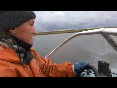 Видео: Энцы Таймыра. Самые малочисленные. Анонс фильма.  Студия кино "САГА" (2024г.)