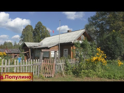 Видео: Остался только один жилой дом в деревне. Уютная деревня в лесу. Добротный заброшенный дом.