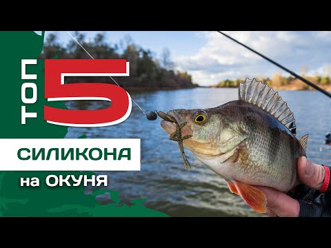 Видео: ТОП 5 силиконовых приманок на окуня от Артема Некряча