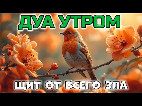 Видео: 🤲 МОЩНОЕ УТРЕННЕЕ ДУА ДЛЯ ЗАЩИТЫ 🙏☀️