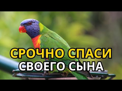 Видео: ☝Повторите эту молитву и ваш СЫН будет под защитой! Лучшие молитвы, слушать минимум один раз в день!