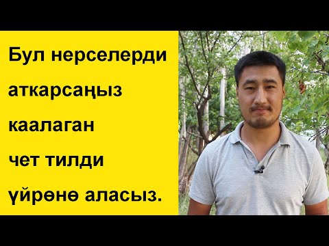 Видео: Бул нерселерди аткарсаңыз каалаган чет тилди үйрөнөсүз