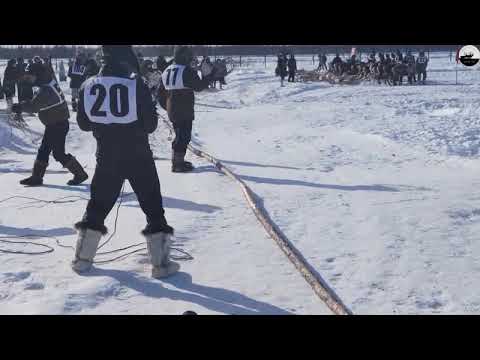 Видео: Слет оленеводов-2022 Батагай-Алыта Эвено-Бытантайский улус //Gathering of reindeer herders 2022
