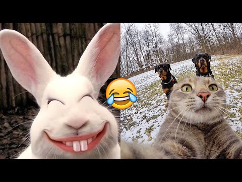 Видео: СМЕХ ДО СЛЕЗ 😂 15 Минут ОТБОРНЫЕ ПРИКОЛЫ 2025 Смешные видео Лучшие