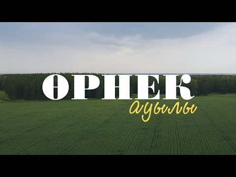 Видео: Өрнек ауылының керемет табиғаты/СҚО/дронмен саяхат