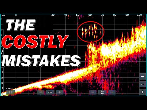 Видео: Не хотите упускать возможность ловить окуня с помощью Livescope?