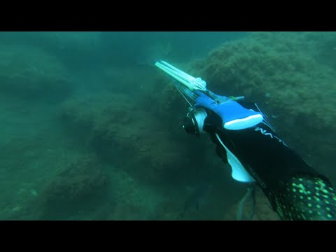 Видео: Найти тень.  Подводная охота в Черном море.