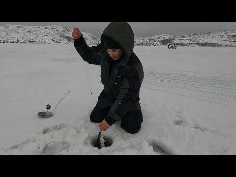 Видео: ЗИМНЕЕ МОРЕ РАДУЕТ КЛЁВОМ / WINTER SEA