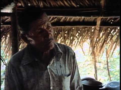 Видео: 77 - Одиссея Жака Кусто - Зачарованная река