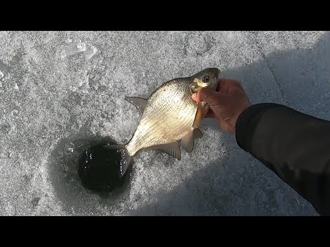 Видео: Иркутское ВДХР. Курминский залив. Закрытие зимнего сезона.