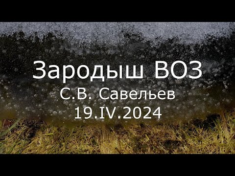 Видео: С.В. Савельев - Зародыш ВОЗ