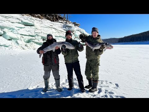 Видео: На рыбалку за трофеями. Бурейское водохранилище 24-25 февраля.