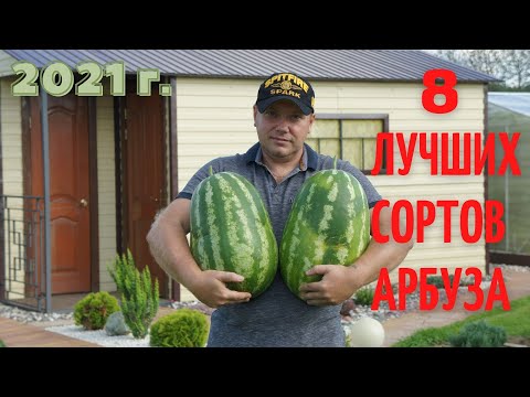 Видео: Лучшие сорта арбуза 2021