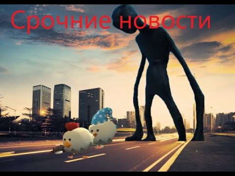 Видео: Срочное новости в чикен ган / urgent news from chiken gun