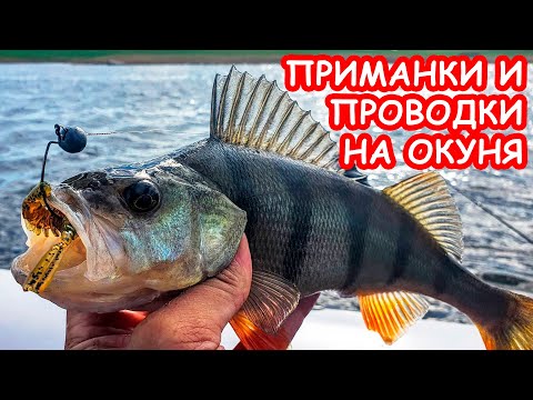 Видео: ПРИМАНКИ И ПРОВОДКИ НА ОКУНЯ. ЛОВЛЯ НА МИКРОДЖИГ. РЫБАЛКА НА СПИННИНГ