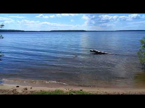 Видео: 🔴Учинское водохранилище, г. Пушкино московской области.