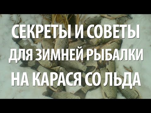 Видео: ЛОВЛЯ КАРАСЯ ЗИМОЙ со ЛЬДА. СЕКРЕТЫ ЗИМНЕЙ РЫБАЛКИ на КАРАСЯ в МОРДОВИИ