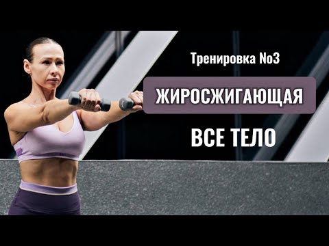 Видео: Тренировка №3 "Функциональная  ВСЕ ТЕЛО". Бесплатный  ИНТЕНСИВ ПОХУДЕНИЯ Для Дома
