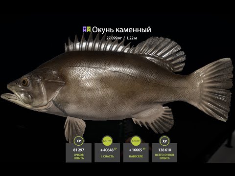 Видео: РУССКАЯ РЫБАЛКА 4 ОТБИВАЮ  СЕРЕБРО.#тв #робинзоныч #игра # стрим #рр4