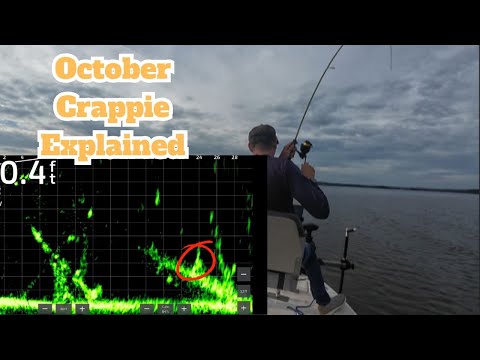 Видео: Октябрьский краппи: как ловить краппи осенью