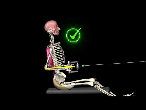 Видео: Тяга, тяга блока сидя на тренажере