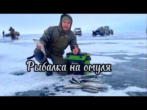 Видео: ПОПАЛИ НА ДИКИЙ ЖОР! Рыбалка на Байкальского Омуля.