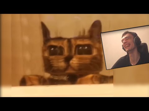 Видео: Рекви смотрит смешные видео #2